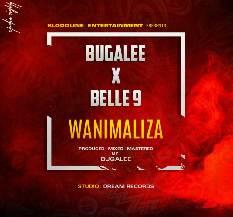 Wanimaliza