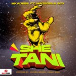 Mkadebe ft Mazegele Boy – Shetani