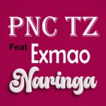 Pnc tz ft Exmao – Naringa