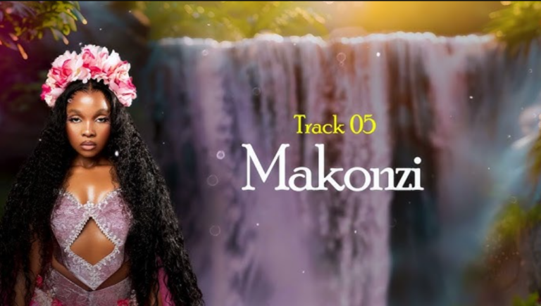 Makonzi