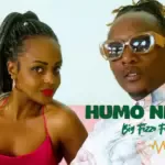 Humo Ndani