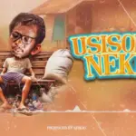  Usisononeke