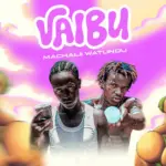 Vaibu (Extended Version)