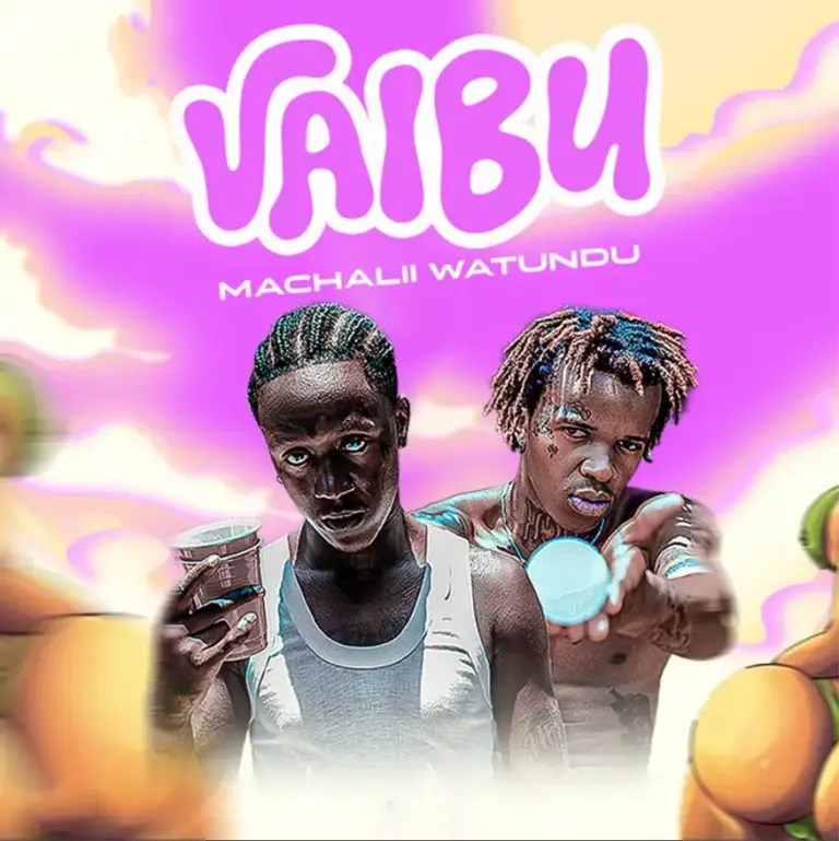 Vaibu (Extended Version)
