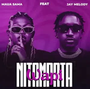 Maua Sama ft Jay Melody – Nitampata Wapi