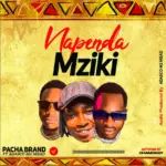 Napenda Mziki