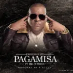 Pagamisa