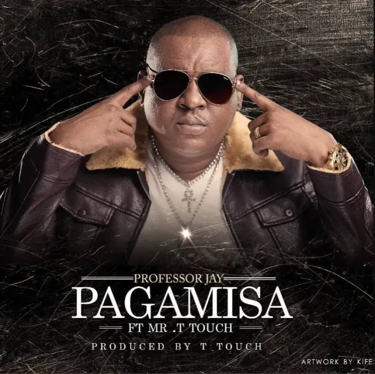 Pagamisa