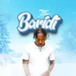 Baridi