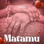 Matamu