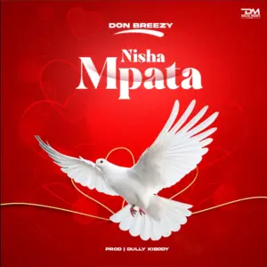 Don Breezy – Nishampata