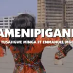Amenipigania