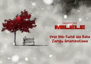 Immu Jay – Milele