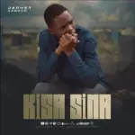 Kisa Sina