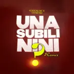 Unasubili Nini (Remix)