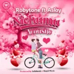 Nichumu Acoustic