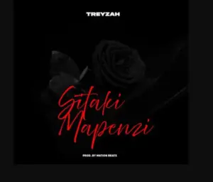 Treyzah – Sitaki Mapenzi