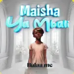 Maisha Ya Mbali