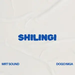 Dogo Niga ft MRT Sound – Shilingi