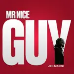 Mr Nice Guy