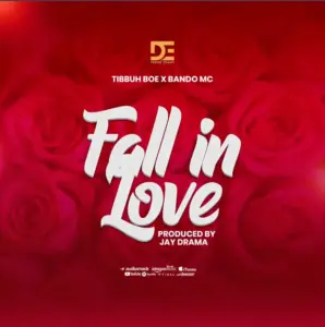 Tibu ft Bando – Falling Love
