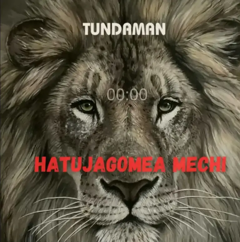 Hatujagomea Mechi