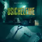 Usichelewe