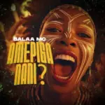 Amepiga Nani