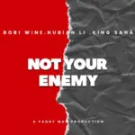 Not Your Enemy