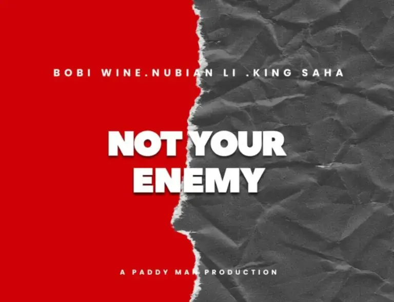 Not Your Enemy