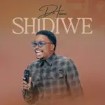 Shidiwe
