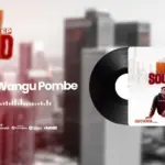 Demu wangu pombe