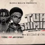 Tuheshimiane