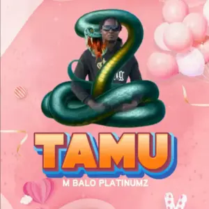 M Balo Platnumz – Tamu