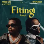 Fitingi