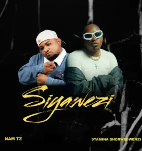 Nam Tz ft Stamina Shorwebwenzi – Siyawezi