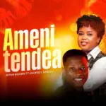 Amenitendea