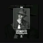 Usinipite
