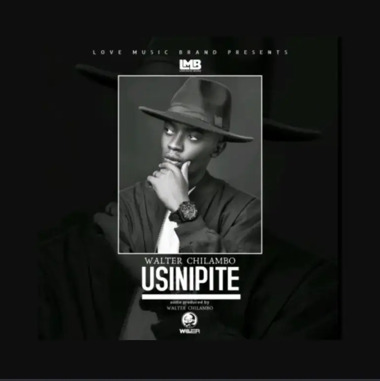 Usinipite