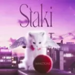 Staki