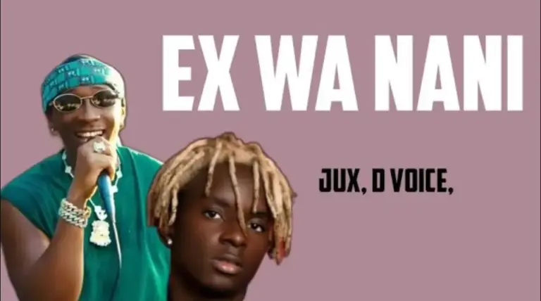 Ex Wa Nani