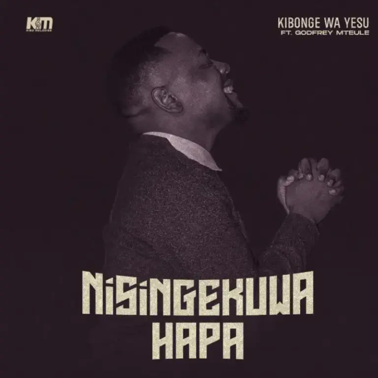 Nisingekuwa Hapa