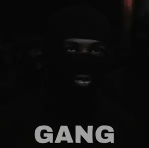 Audio | Mmeya – Gang  | Download Mp3