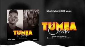Mudy Msanii ft D Voice – Tumeachana