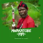 Pipi Ya Kijiti