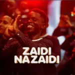 Zaidi Na Zaidi