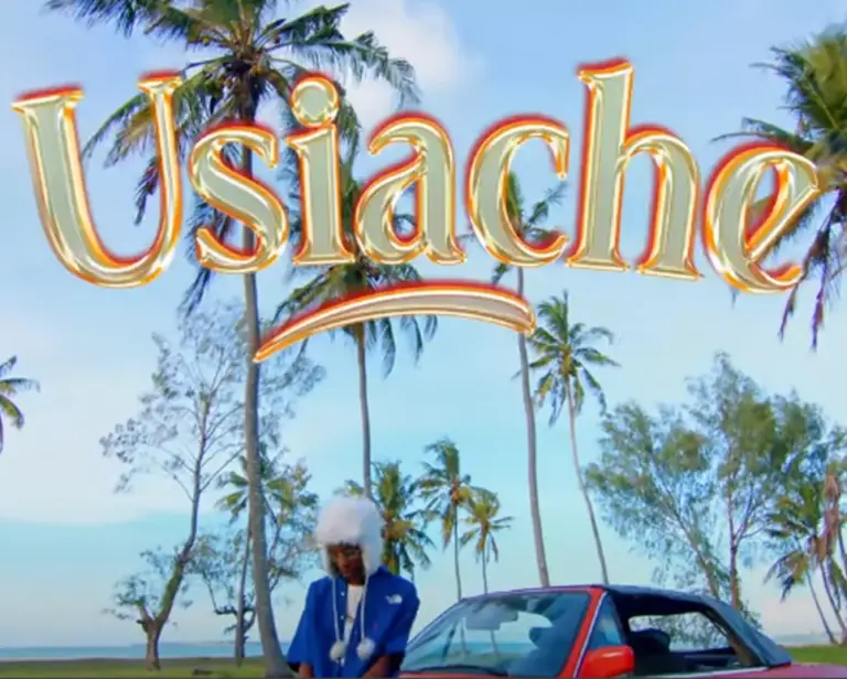Usiache