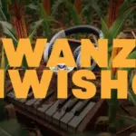 Mwanzo Mwisho