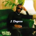 Ongeza