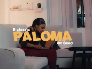 B Classic X Mr Seed  – Paloma